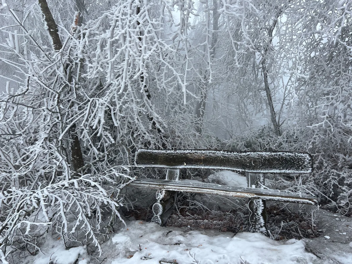 Dieser Sitzplatz auf dem Schauenberg oberhalb von Turbenthal ist wirklich idyllisch gelegen. Bänkli mit Eisschicht